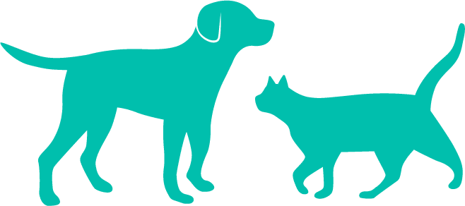 Silhouettes of a dog and a cat facing each other in teal color on a white background, reminiscent of a vet's office logo.