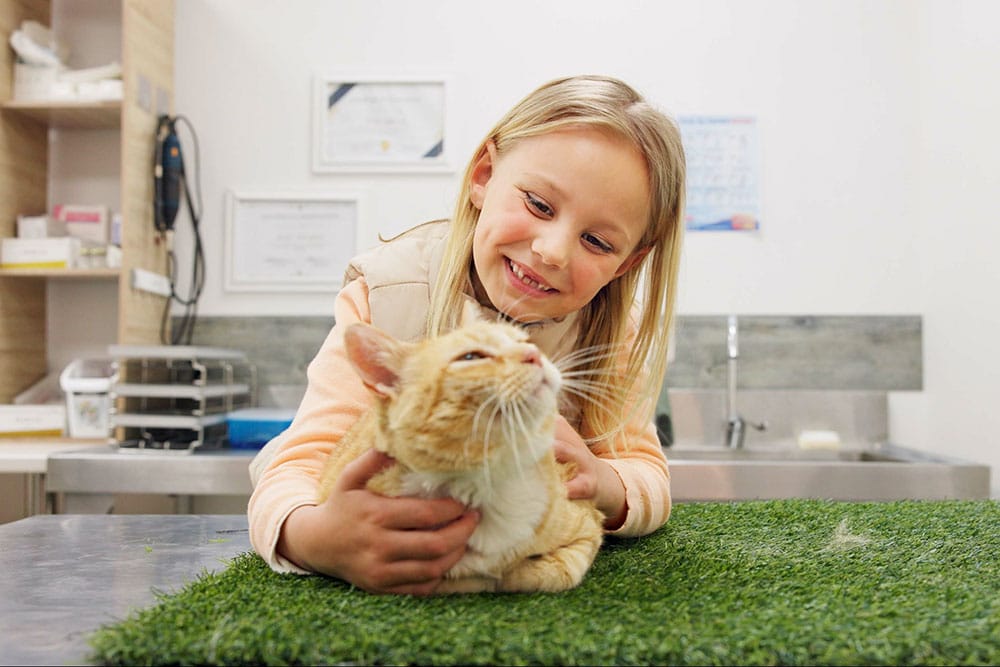 A smiling girl gently pets an orange cat on a grassy mat in a veterinary clinic, with certificates and equipment visible in the background.