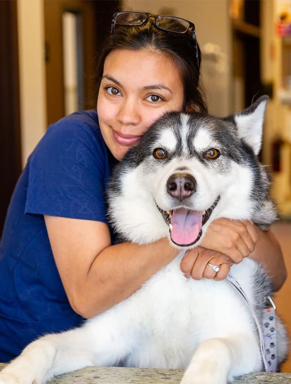 Veterinary diagnostic equipment used for pet health testing at Advanced Veterinary Medical Center, Milpitas CA
