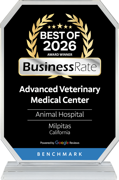 A crystal award plaque reads "Best of 2026 Award Winner, BusinessRate, Advanced Veterinary Medical Center, Animal Hospital, Milpitas California, Powered by Google Reviews, Benchmark." Gold laurel graphics decorate the top.