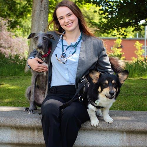 A veterinarian with a stethoscope around their neck is sitting outdoors on a stone bench, smiling and holding two dogs—one with grey fur on the left and a corgi with a black and brown coat on the right. Trees and a brick building provide a serene backdrop.