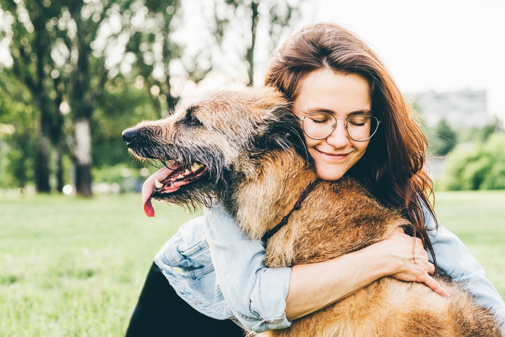 A bespectacled veterinarian hugs a large, happy dog in the park. The fluffy, light brown-coated dog pants joyfully. Green grass, trees, and a blurred cityscape serve as their backdrop. Both exude contentment and peace in this serene moment.