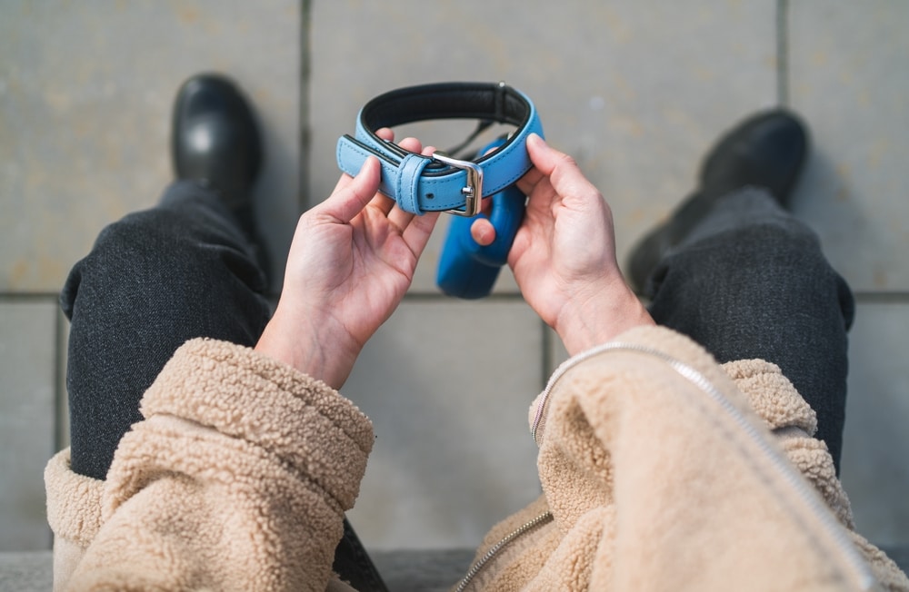 A person wearing a beige jacket and black pants is sitting down, holding a blue dog collar with a metal buckle in both hands. The ground is paved with stone tiles, perhaps outside a vet’s office. Black shoes are visible at the top of the image.