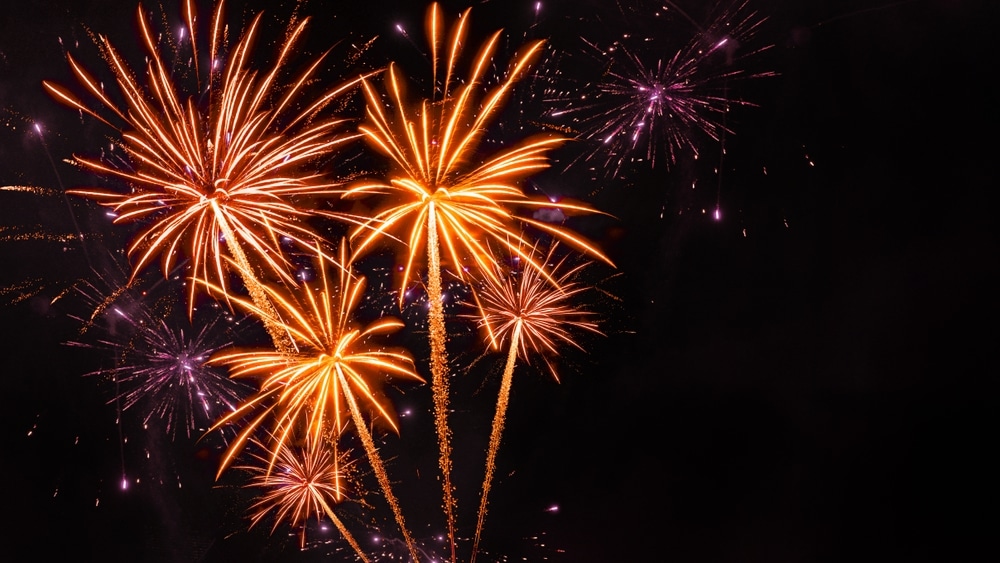 Colorful fireworks burst into the night sky, with vibrant orange, purple, and pink explosions creating dazzling patterns against the dark backdrop. Much like a vet carefully orchestrating care for their patients, these bright trails of light illuminate the scene with a festive atmosphere.